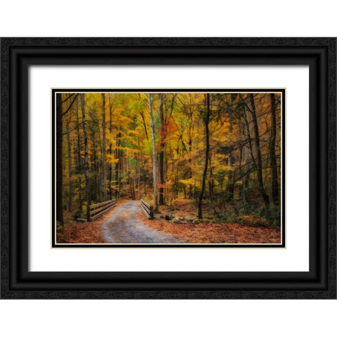 Greenbrier Path Black Ornate Wood Framed Art Print with Double Matting by Galloimages Online