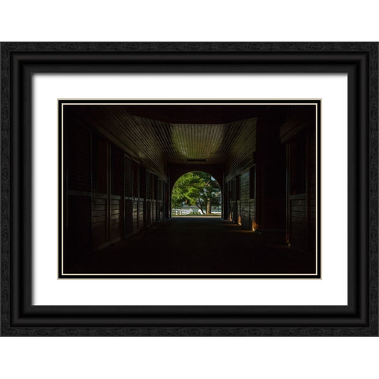 Perspective Image