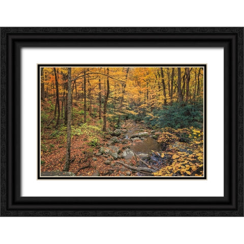Roaring Fork Stream Black Ornate Wood Framed Art Print with Double Matting by Galloimages Online