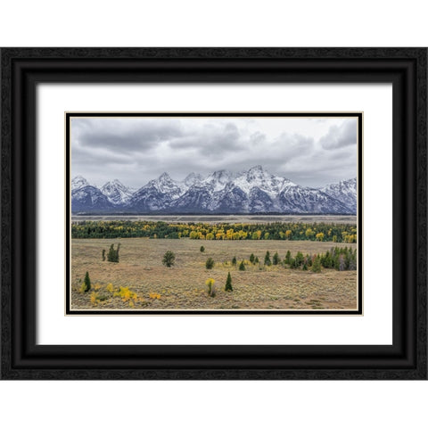Teton Fall Colors Black Ornate Wood Framed Art Print with Double Matting by Galloimages Online