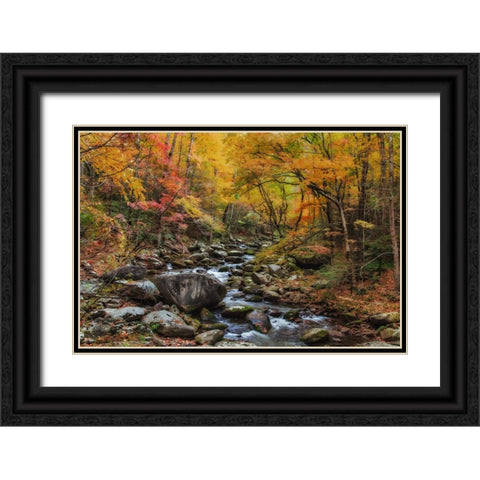 Tremont Stream Watercolor Black Ornate Wood Framed Art Print with Double Matting by Galloimages Online