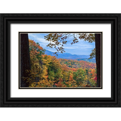 Window To The Smoky Mountains Black Ornate Wood Framed Art Print with Double Matting by Galloimages Online