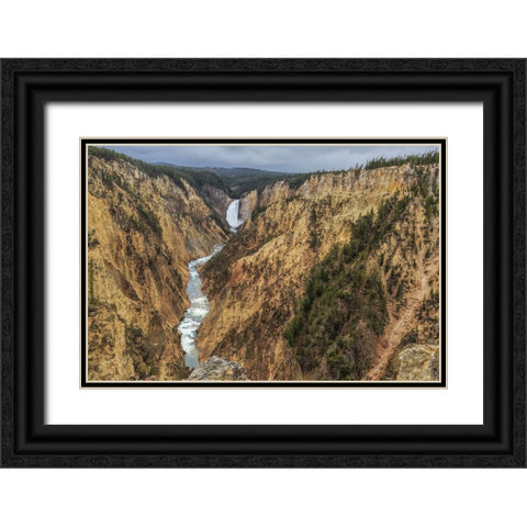 Yellowstone Grand Canyon - Lower Falls Black Ornate Wood Framed Art Print with Double Matting by Galloimages Online