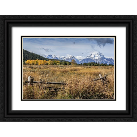 GTNP Scene Mt. Moran Black Ornate Wood Framed Art Print with Double Matting by Galloimages Online