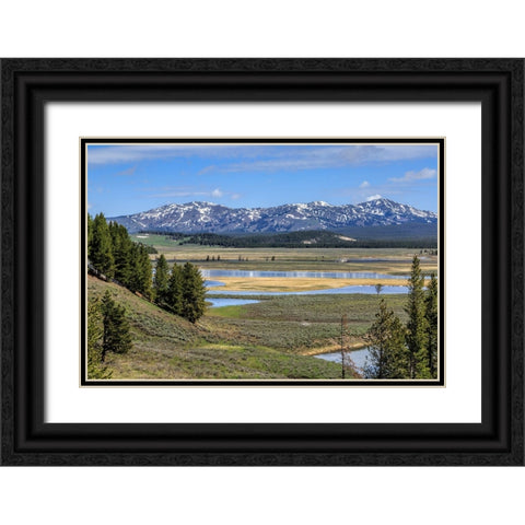 Hayden Valley (YNP) Black Ornate Wood Framed Art Print with Double Matting by Galloimages Online