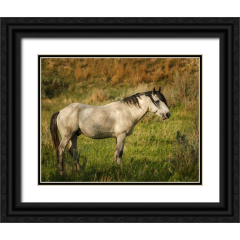 Wild Horse Black Ornate Wood Framed Art Print with Double Matting by Galloimages Online