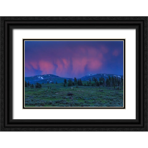 YNP Sunset Black Ornate Wood Framed Art Print with Double Matting by Galloimages Online