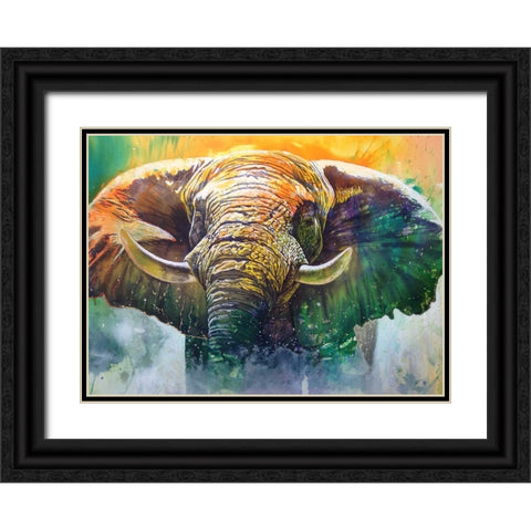 Ivory Mists Black Ornate Wood Framed Art Print with Double Matting by Stevenson, Graeme