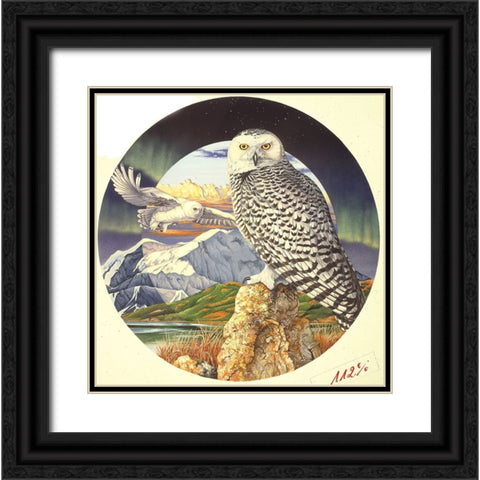 Northern Lights Black Ornate Wood Framed Art Print with Double Matting by Stevenson, Graeme