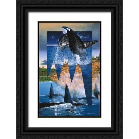 Orca Reflections Black Ornate Wood Framed Art Print with Double Matting by Stevenson, Graeme