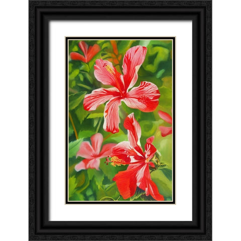 Red Hibiscus 3 Black Ornate Wood Framed Art Print with Double Matting by Stevenson, Graeme