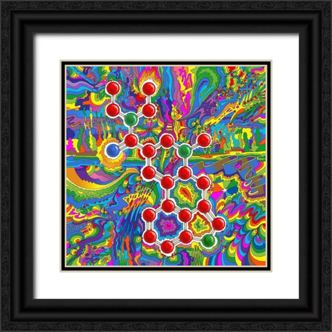LSD Molecule Black Ornate Wood Framed Art Print with Double Matting by Green, Howie