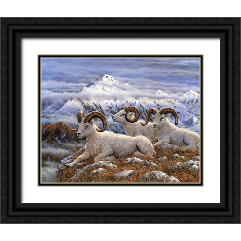Denali Rams Black Ornate Wood Framed Art Print with Double Matting by Tift, Jeff