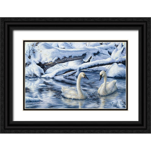 Tundra Swans Black Ornate Wood Framed Art Print with Double Matting by Tift, Jeff