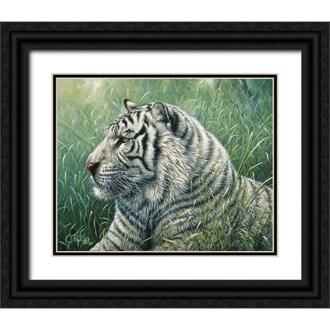 White Tiger Black Ornate Wood Framed Art Print with Double Matting by Tift, Jeff