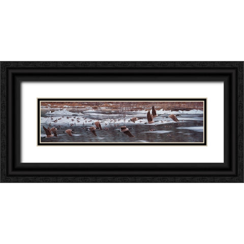 Along The Waterfront Black Ornate Wood Framed Art Print with Double Matting by Tift, Jeff