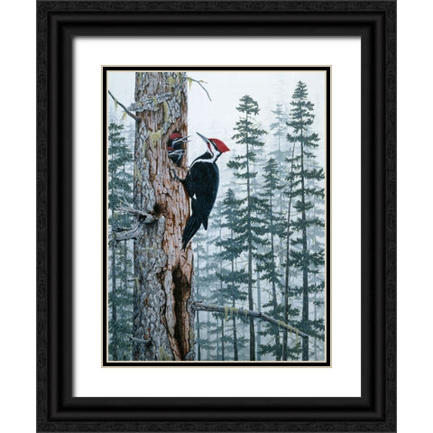 Piliated Woodpeckers Black Ornate Wood Framed Art Print with Double Matting by Tift, Jeff