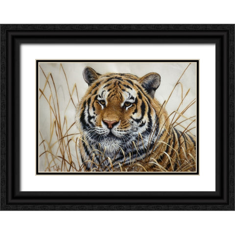 Tiger Black Ornate Wood Framed Art Print with Double Matting by Tift, Jeff