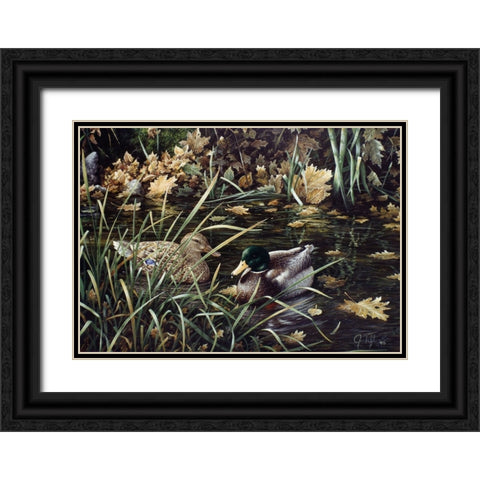 Mallards Black Ornate Wood Framed Art Print with Double Matting by Tift, Jeff