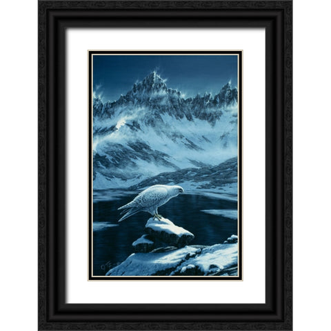 In The Land Of Ice And Snow Black Ornate Wood Framed Art Print with Double Matting by Tift, Jeff