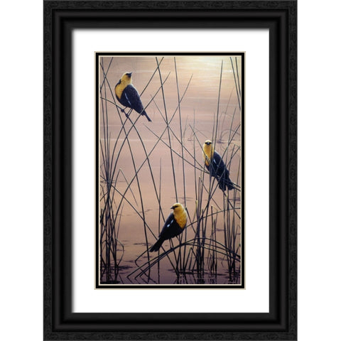 Yellow Headed B Birds Black Ornate Wood Framed Art Print with Double Matting by Tift, Jeff