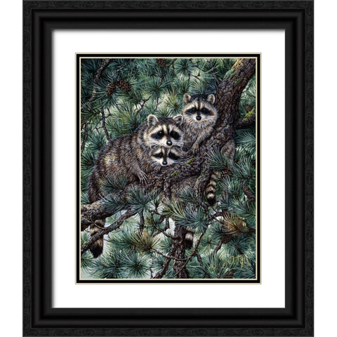 Racoons Black Ornate Wood Framed Art Print with Double Matting by Tift, Jeff