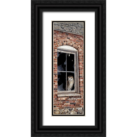 The Look Out Black Ornate Wood Framed Art Print with Double Matting by Tift, Jeff