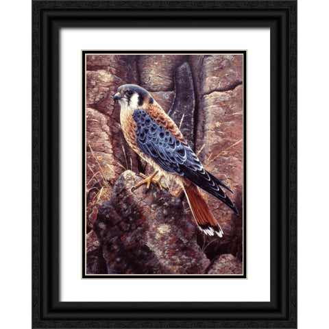 Kestral Black Ornate Wood Framed Art Print with Double Matting by Tift, Jeff