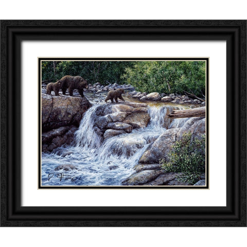 Entiat Falls-Grizzly Family Black Ornate Wood Framed Art Print with Double Matting by Tift, Jeff