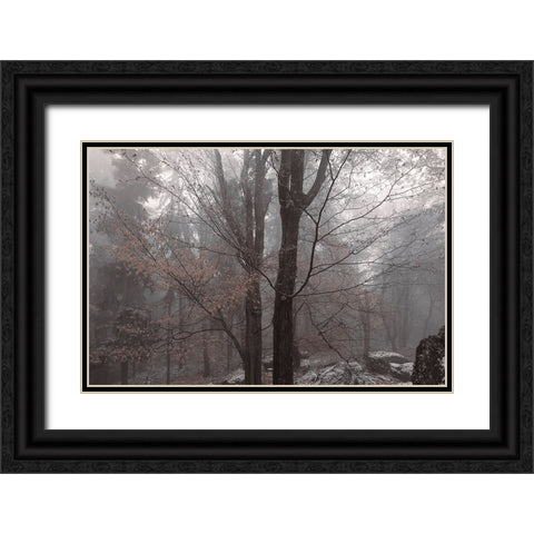 Always Together In Joy And Sorrow Black Ornate Wood Framed Art Print with Double Matting by Jenny Rainbow Fine Art