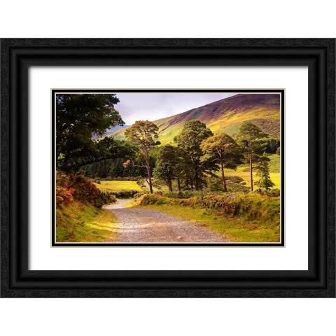 Celtic Spirit in Wicklow Mountains Ireland Black Ornate Wood Framed Art Print with Double Matting by Jenny Rainbow Fine Art