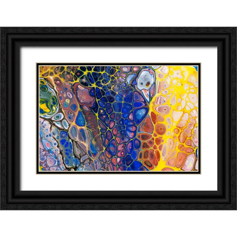 Fluid Acrylic Colorful Night Dreams 2 Black Ornate Wood Framed Art Print with Double Matting by Jenny Rainbow Fine Art