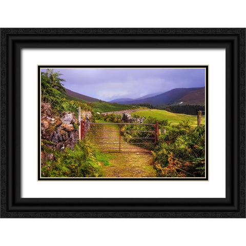 Gates on the Road at Wicklow Hills Ireland Black Ornate Wood Framed Art Print with Double Matting by Jenny Rainbow Fine Art