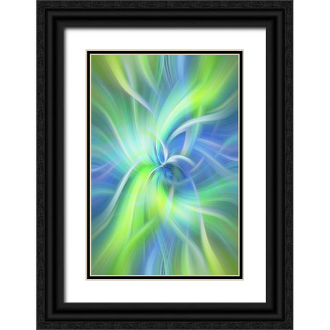 Mystery of Colors Purity of Nature Black Ornate Wood Framed Art Print with Double Matting by Jenny Rainbow Fine Art