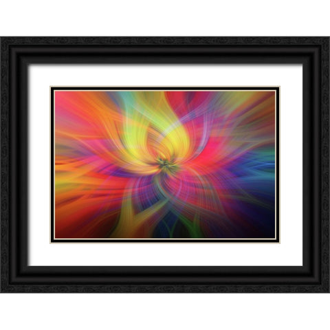 Mystery of Colors Rainbow Flower Black Ornate Wood Framed Art Print with Double Matting by Jenny Rainbow Fine Art