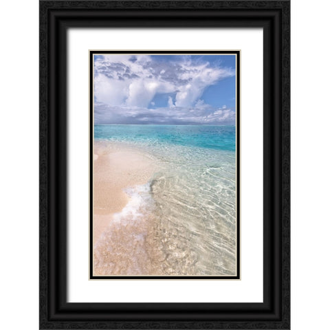 Natural Wonder Maldives Black Ornate Wood Framed Art Print with Double Matting by Jenny Rainbow Fine Art