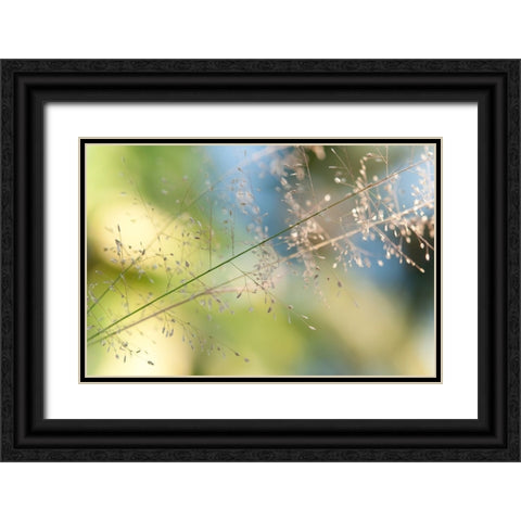 The Beauty of the Earth Black Ornate Wood Framed Art Print with Double Matting by Jenny Rainbow Fine Art