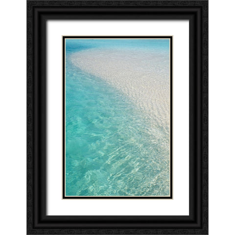Water Meditation Black Ornate Wood Framed Art Print with Double Matting by Jenny Rainbow Fine Art