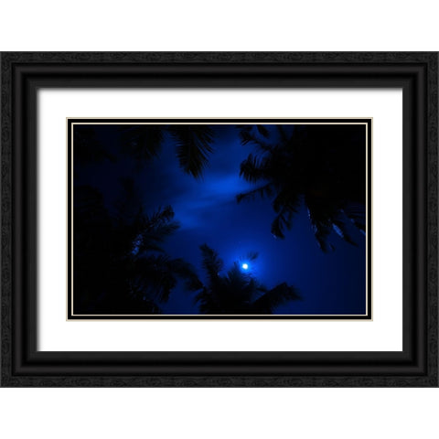 Magic of the Night Sky Black Ornate Wood Framed Art Print with Double Matting by Jenny Rainbow Fine Art