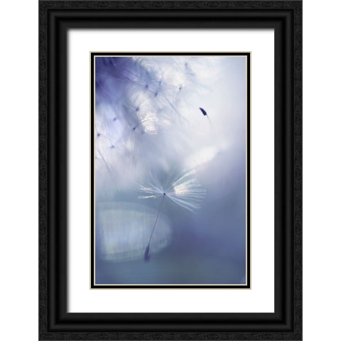 Mr Dandelion Light Flight Black Ornate Wood Framed Art Print with Double Matting by Jenny Rainbow Fine Art