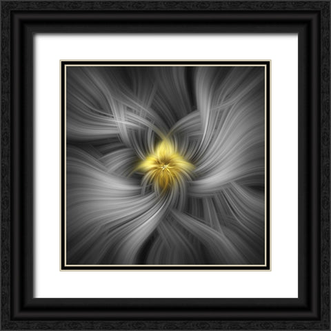 Mystery of Colors Silver And Gold Black Ornate Wood Framed Art Print with Double Matting by Jenny Rainbow Fine Art