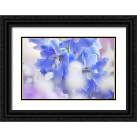 Out of Blue Black Ornate Wood Framed Art Print with Double Matting by Jenny Rainbow Fine Art