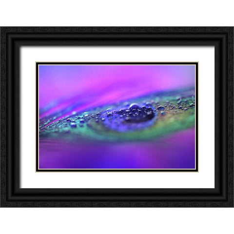 Peacock Diamonds Black Ornate Wood Framed Art Print with Double Matting by Jenny Rainbow Fine Art