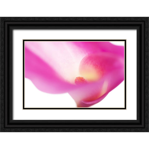 Pink Veil Black Ornate Wood Framed Art Print with Double Matting by Jenny Rainbow Fine Art