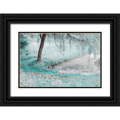 Pond Under the Shadow Willow Black Ornate Wood Framed Art Print with Double Matting by Jenny Rainbow Fine Art