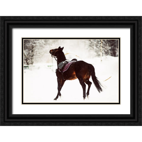 Race in the Snow Black Ornate Wood Framed Art Print with Double Matting by Jenny Rainbow Fine Art