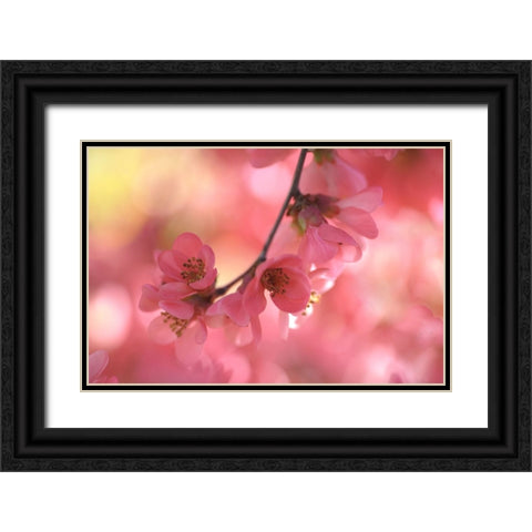 Sensual Touch of Spring Black Ornate Wood Framed Art Print with Double Matting by Jenny Rainbow Fine Art