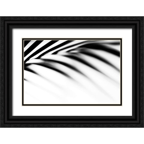 Shadow Palm Leaf Black Ornate Wood Framed Art Print with Double Matting by Jenny Rainbow Fine Art