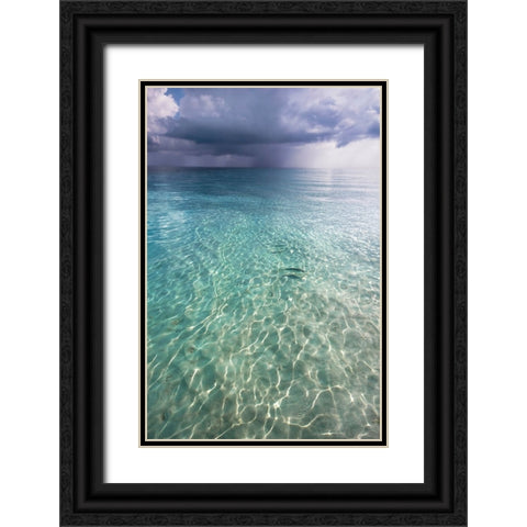 Somewhere is Rainy Black Ornate Wood Framed Art Print with Double Matting by Jenny Rainbow Fine Art
