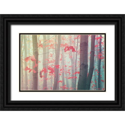 Splashes Of Autumn Colors Black Ornate Wood Framed Art Print with Double Matting by Jenny Rainbow Fine Art